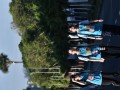 Tn dsc 6546